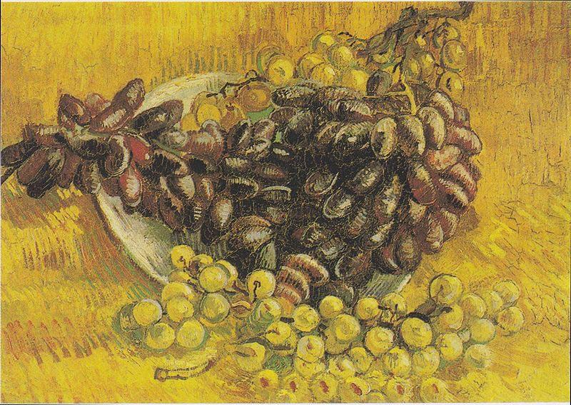 Vincent Van Gogh Still Life with Grapes oil painting picture